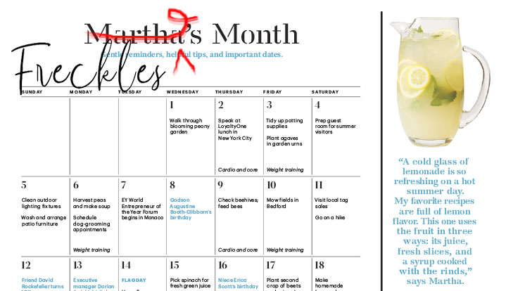 The First Month As An Entrepreneur My Martha Calendar F R E C K L E D L I F E